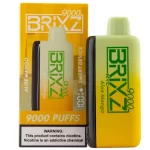 brixz-bar-9000-puff-disposables